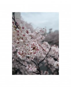 2752B8CD-3007-481A-993C-1B2752B9E535