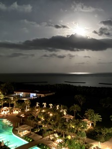 IMG_8417