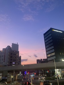 IMG_8179